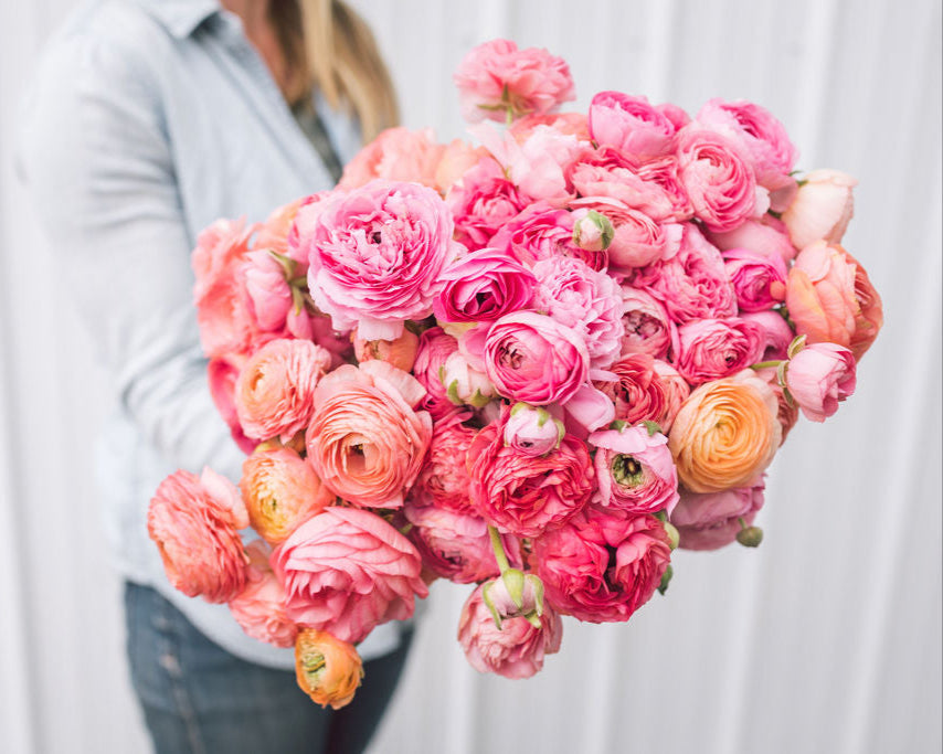 2026 May Flower CSA Subscription